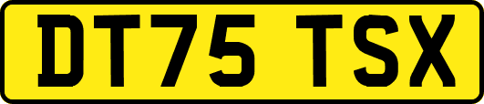 DT75TSX