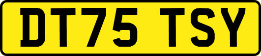DT75TSY