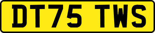 DT75TWS
