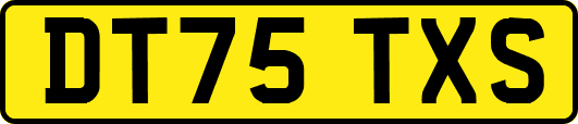 DT75TXS
