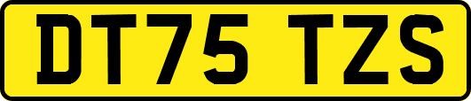 DT75TZS