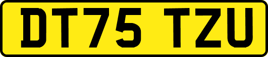 DT75TZU