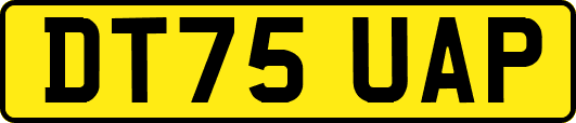 DT75UAP