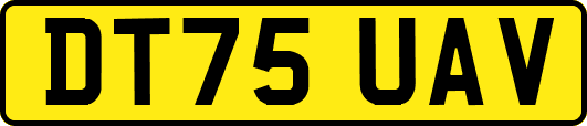 DT75UAV