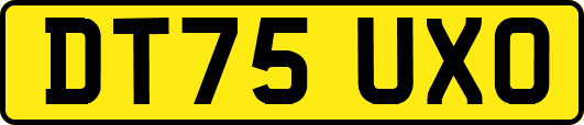 DT75UXO