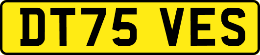 DT75VES