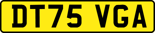 DT75VGA
