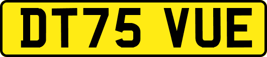 DT75VUE