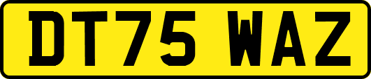 DT75WAZ