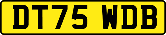 DT75WDB