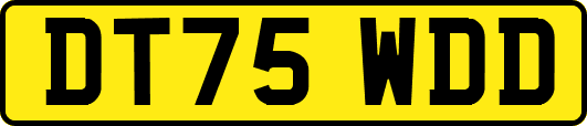 DT75WDD