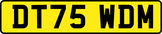 DT75WDM