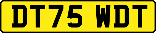 DT75WDT