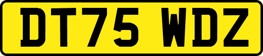 DT75WDZ