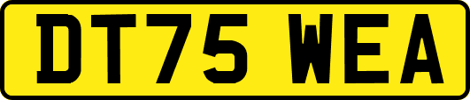 DT75WEA