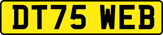 DT75WEB