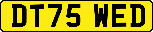 DT75WED