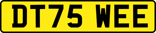 DT75WEE