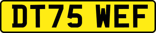 DT75WEF