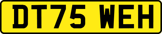 DT75WEH