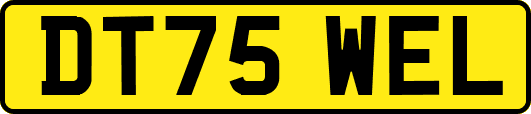 DT75WEL