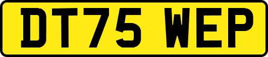 DT75WEP