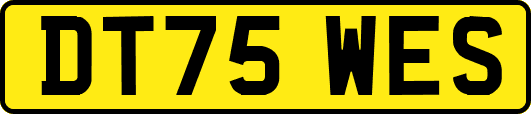 DT75WES