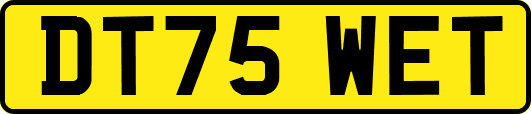 DT75WET