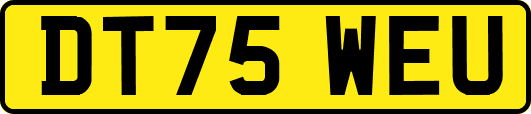 DT75WEU