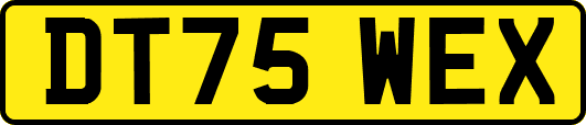 DT75WEX