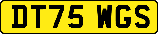DT75WGS