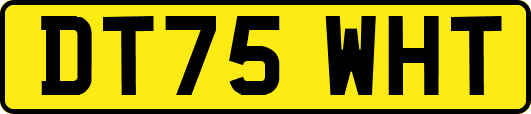 DT75WHT