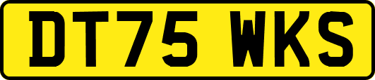 DT75WKS