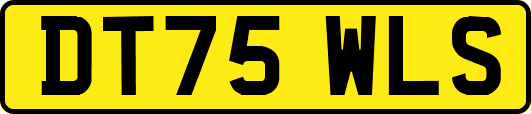 DT75WLS