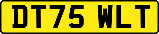 DT75WLT