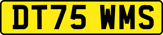 DT75WMS