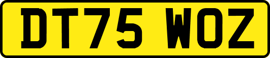 DT75WOZ