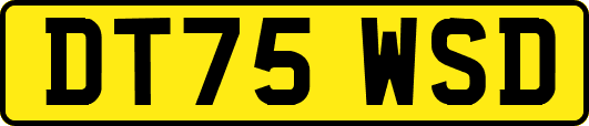 DT75WSD