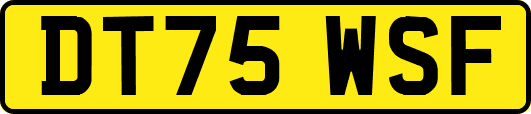 DT75WSF