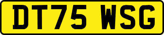 DT75WSG