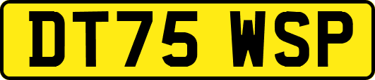 DT75WSP