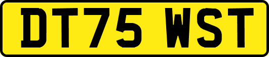 DT75WST