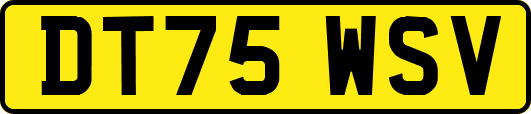 DT75WSV