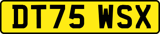 DT75WSX