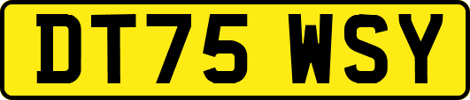 DT75WSY