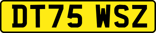 DT75WSZ