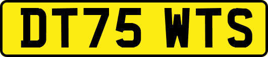 DT75WTS