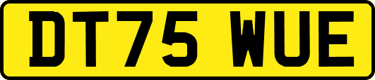DT75WUE