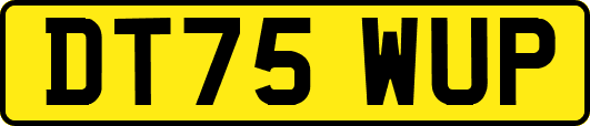 DT75WUP