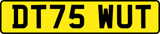 DT75WUT